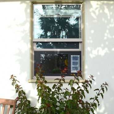 Window in a white wall, partially obscured by branches.