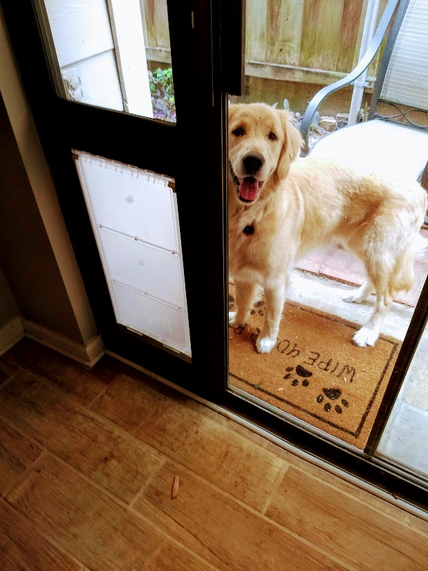 A golden retriever stands by a sliding glass door with a dog door insert, on a mat that reads "Wipe Yo Paws".