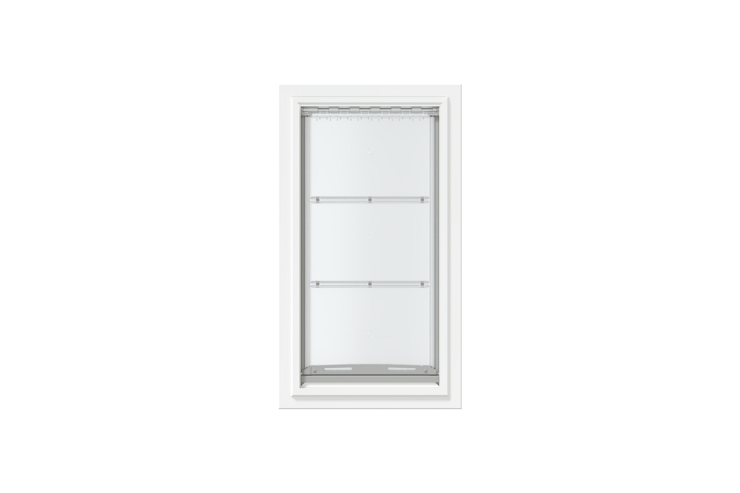 Front view of a white, single flap Endura Flap dog door for wall. This is a popular choice for pet owners seeking reliable dog doors for walls.