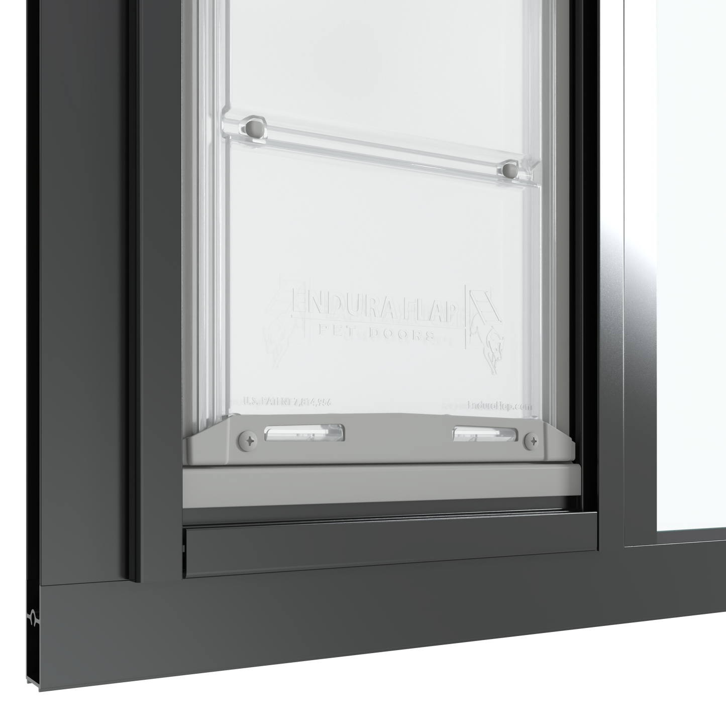 The bottom section of a black Thermo Sash 3e cat door windows is shown closed within a window, highlighting its secure fit in a sash window and the rubber seal for sash windows.