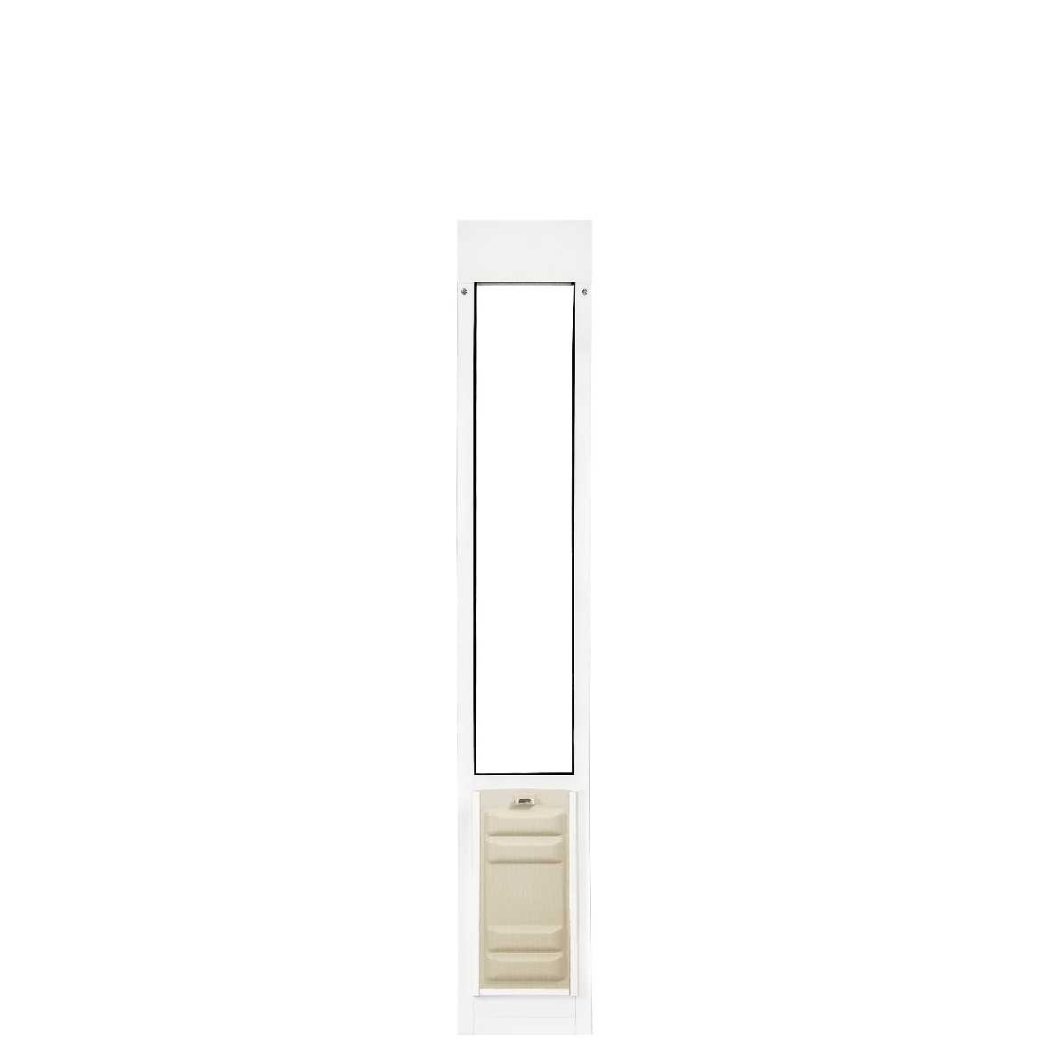 White pet door with a narrow opening above a lower panel.