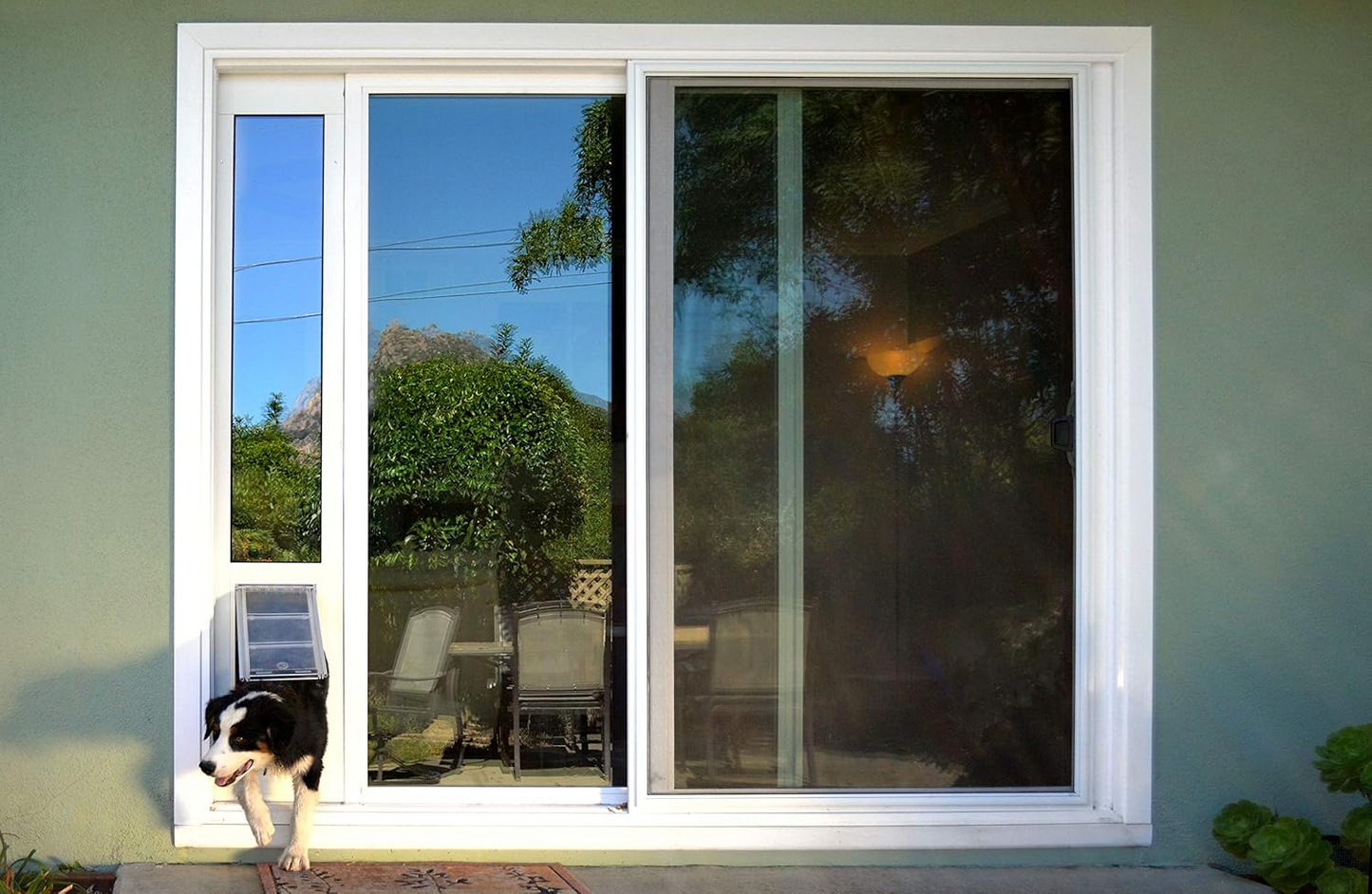 Endura Flap Vinyl Sliding Glass Dog Door