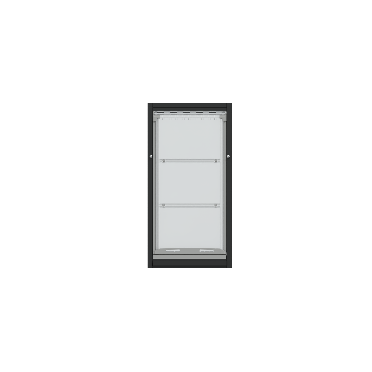 A black-framed window with interior shelves.