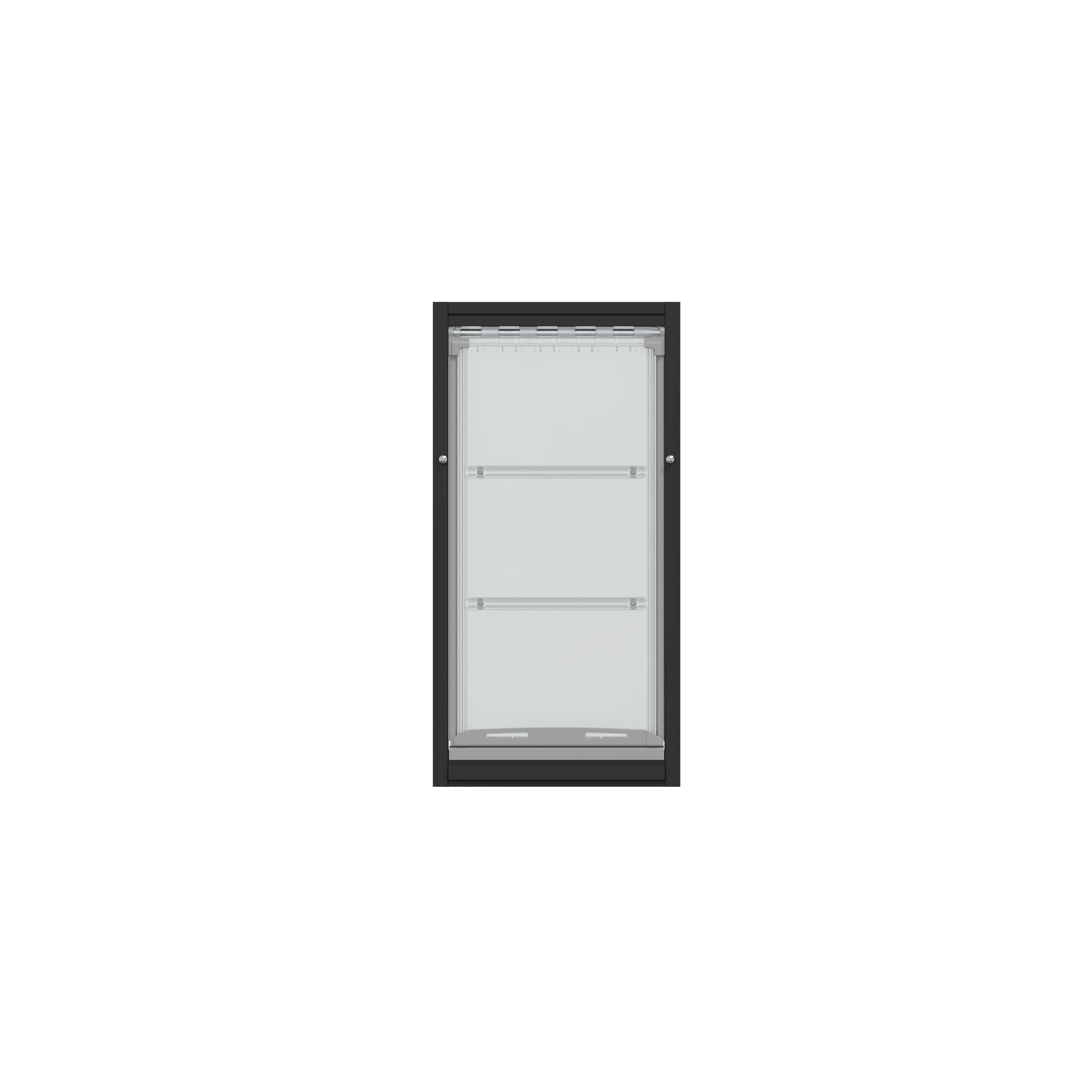 A black-framed window with interior shelves.