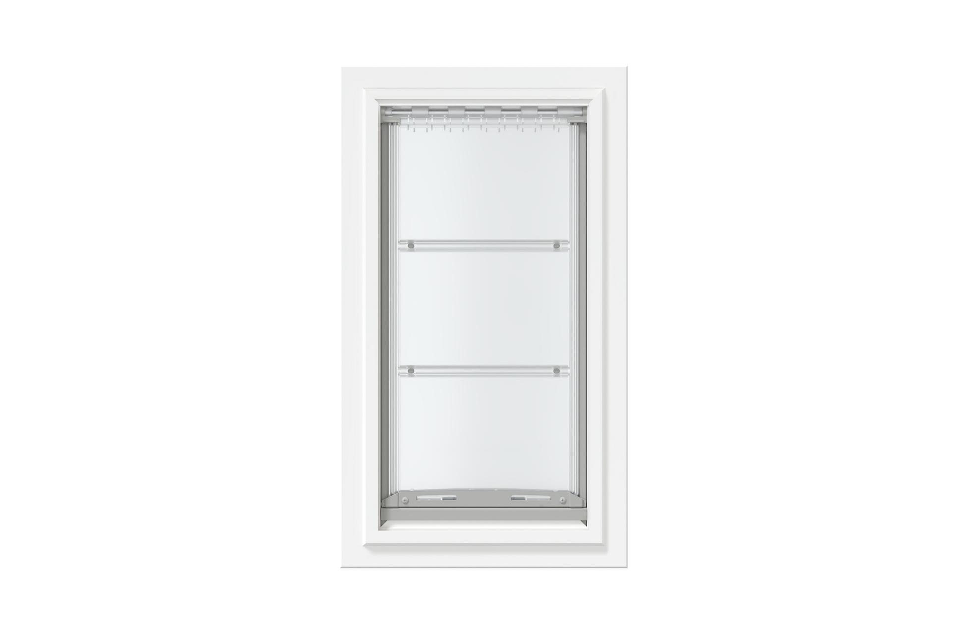 Front view of a white, single flap Endura Flap dog door for wall. Find the best dog doors for walls like this endura dog door.