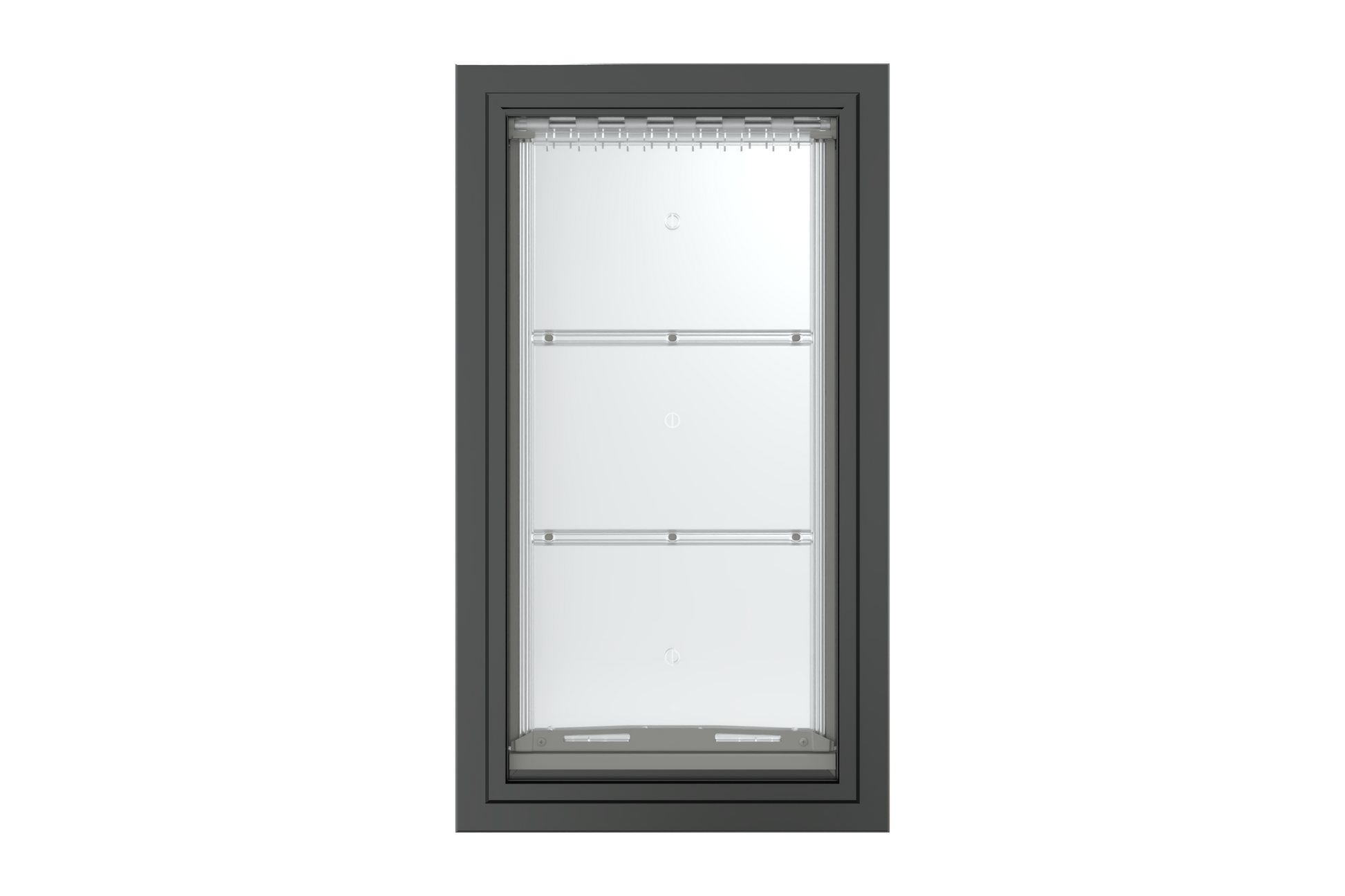 Front view of a black, single flap Endura Flap dog door for wall. This durable wall doggy door is a great option for pet owners.