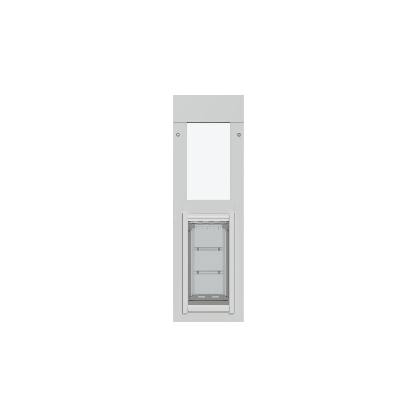 A vertical white frame containing a transparent pet door and a clear panel above.