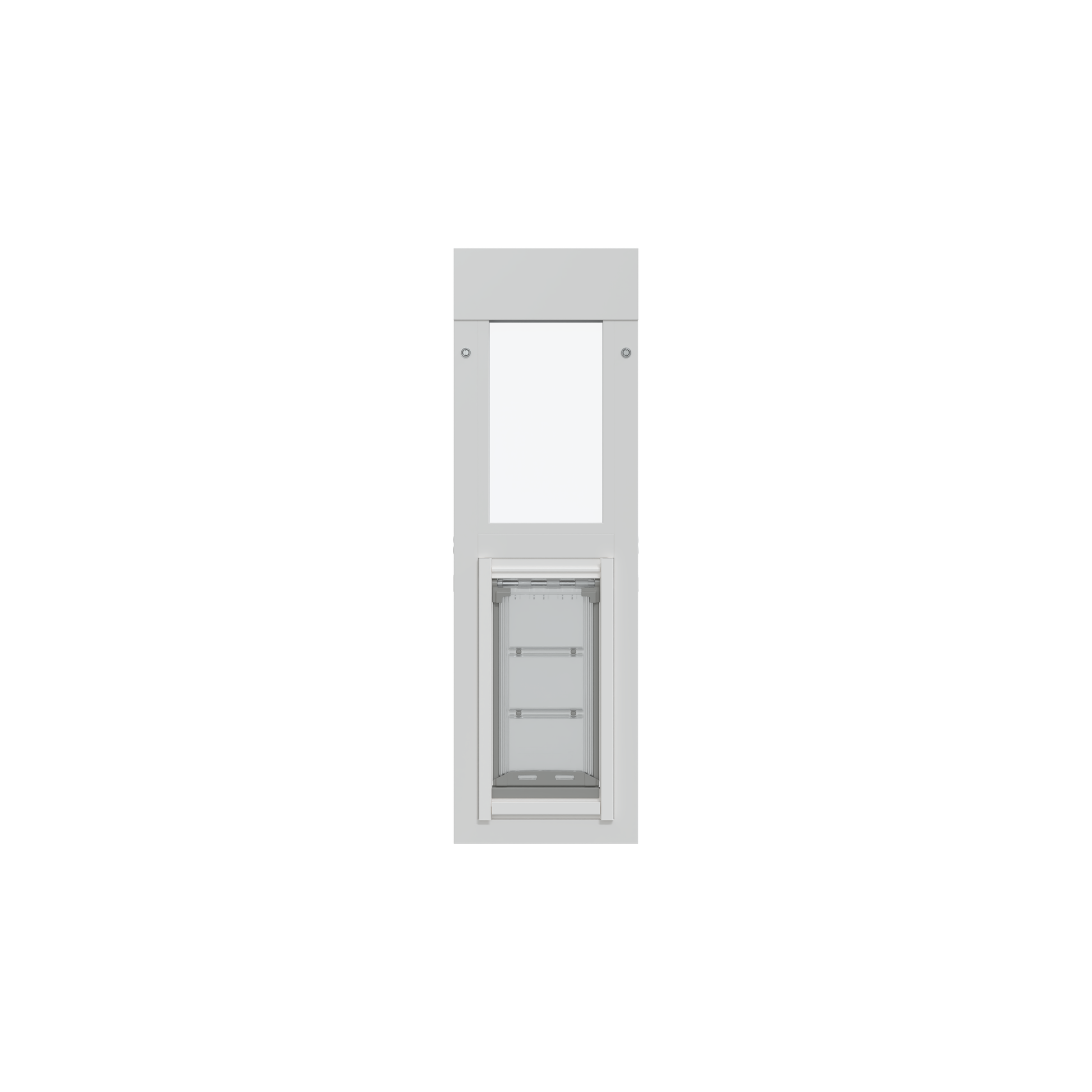 A vertical white frame containing a transparent pet door and a clear panel above.