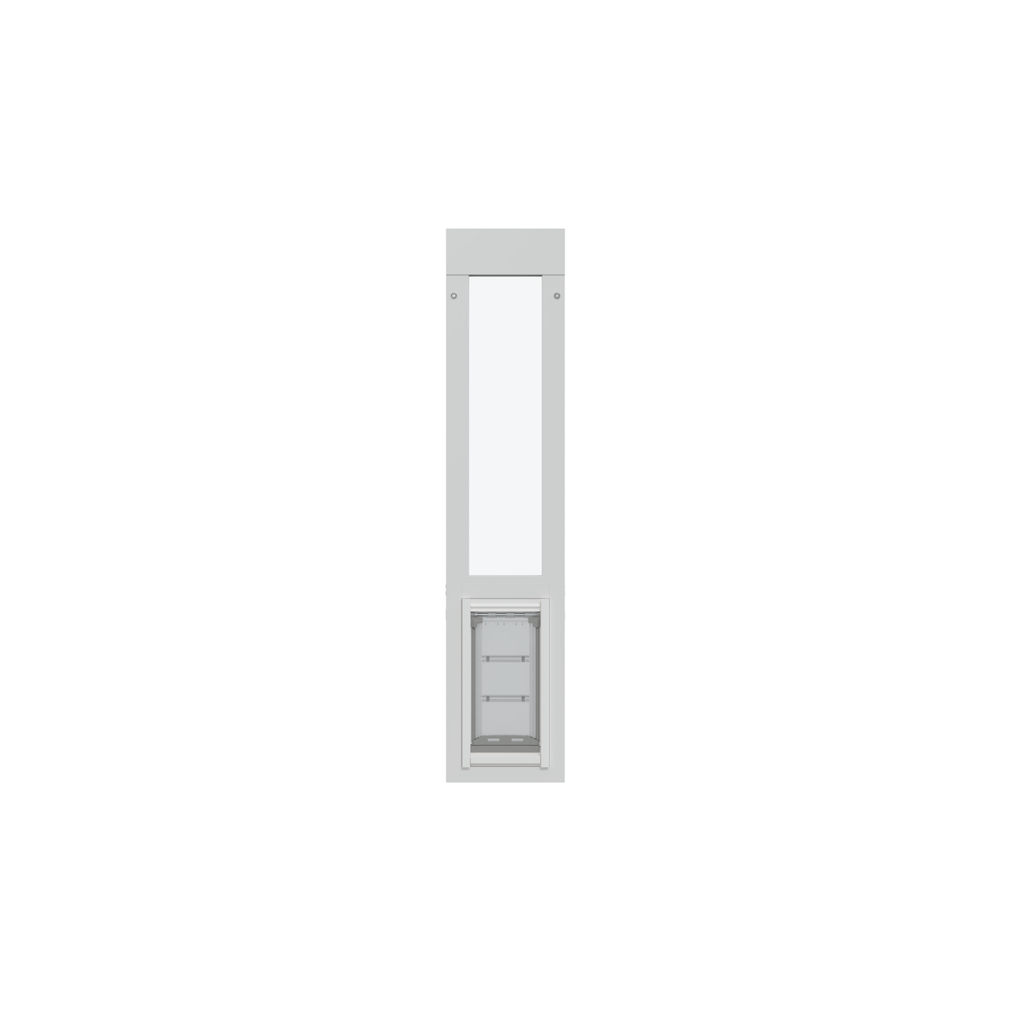 White frame with a glass panel and a lower pet door.