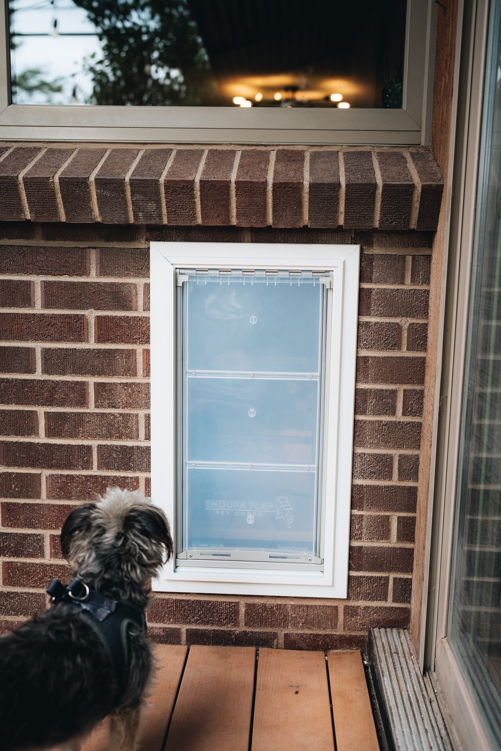 A dog looks at a white-framed dog door installed in a brick wall.