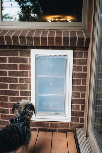 A dog looks at a white-framed dog door installed in a brick wall.