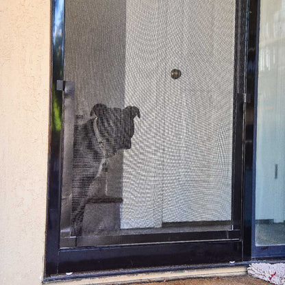 A dog is looking through a screen door.
