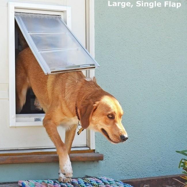 A dog goes through a large dog door.