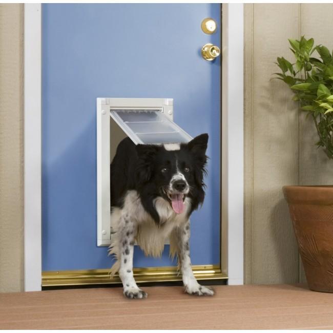 A dog with black and white fur is stepping through a dog door in a blue door.