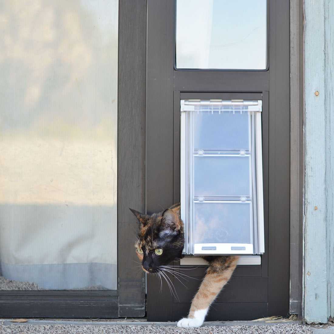 A calico cat is coming through a pet door.