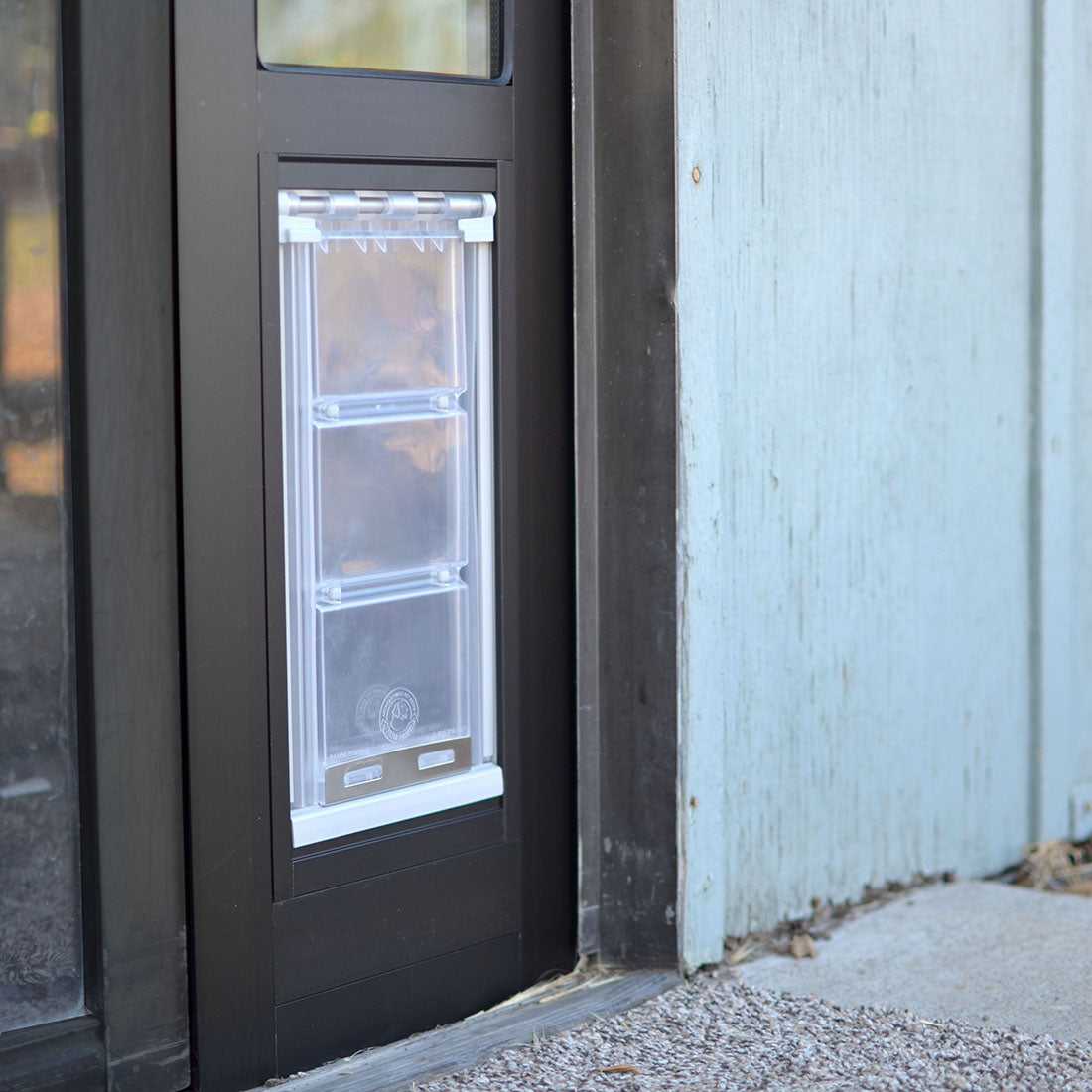 A dog door installed in a dark-framed door.